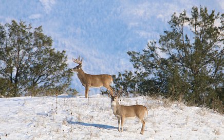 IMG_2761